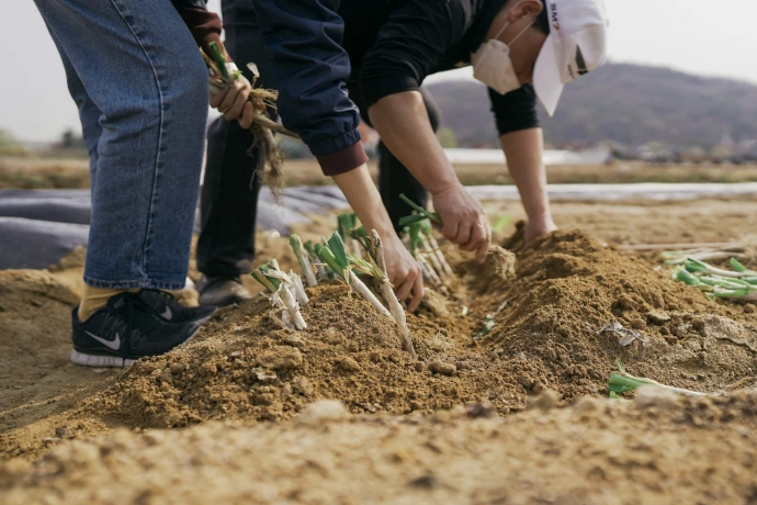a couple of people that are digging in the dirt